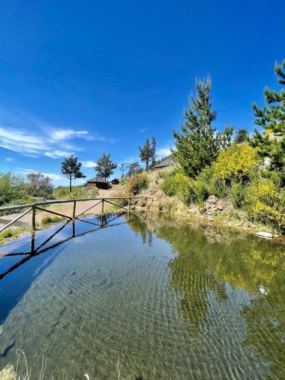 Отель Mountain Eco Shelter 5 Фуншал Экстерьер фото