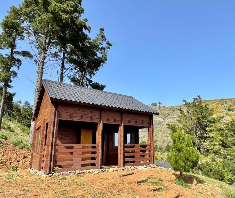 Отель Mountain Eco Shelter 5 Фуншал Экстерьер фото